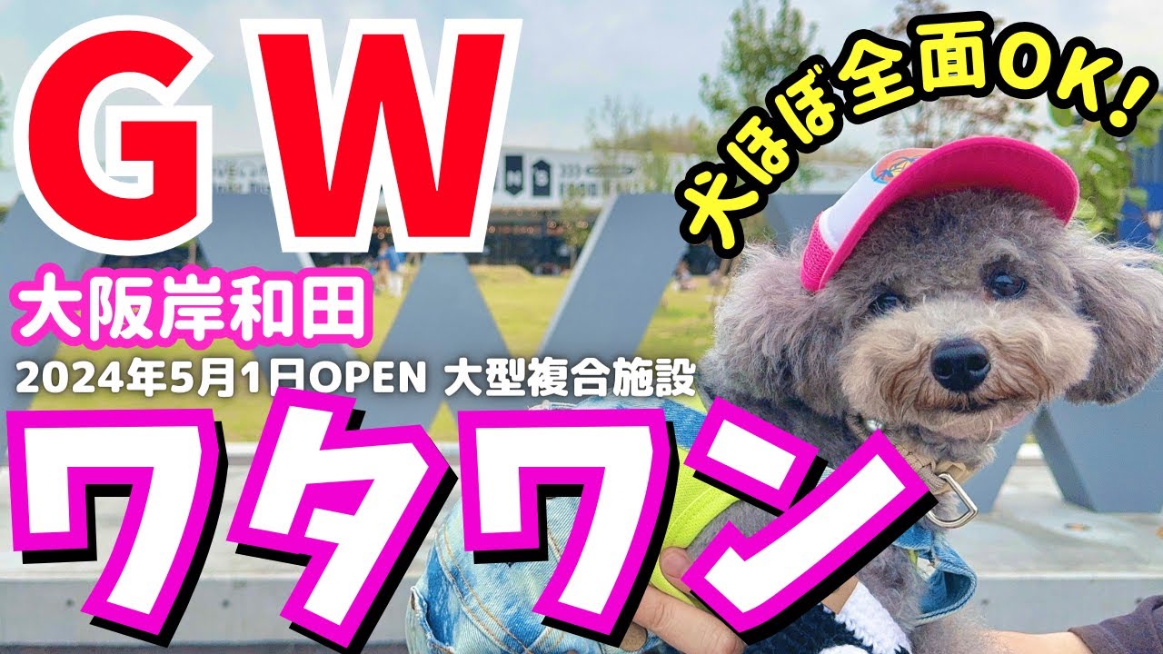【話題の大型複合施設】GW愛犬とお出かけするならWHATAWON(ワタワン) に決定！大阪府岸和田市