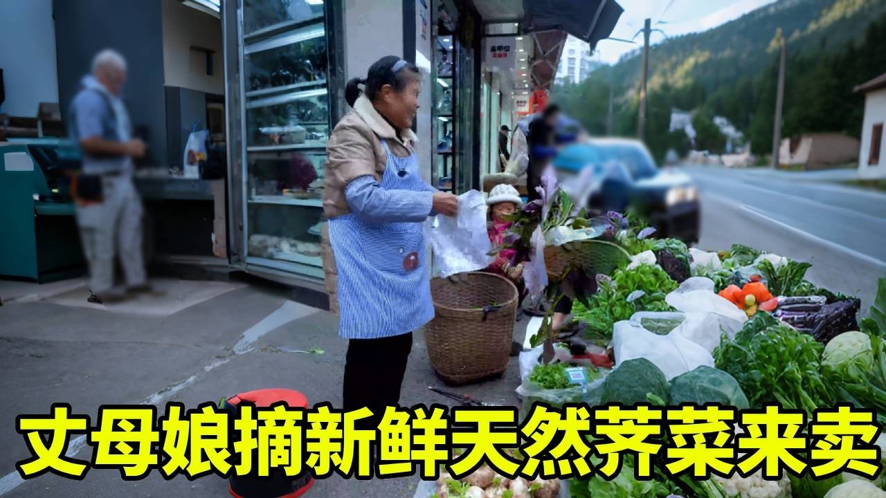 丈母娘地里撬天然荠菜，再配自己种的农家菜摆摊，看看生意咋样~【我是徐三娃】
