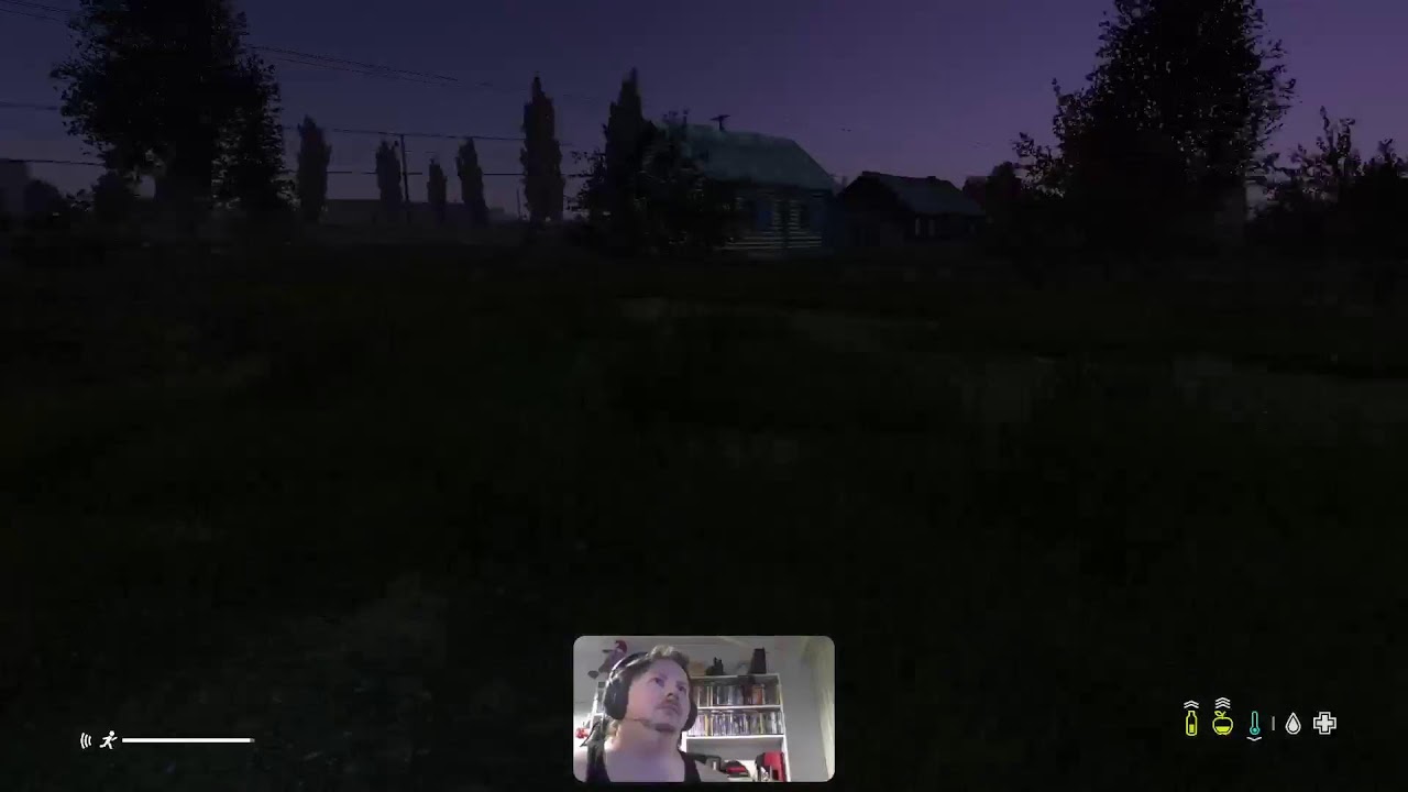 DayZ🎮