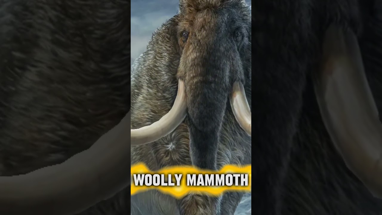 Famous Dinosaurs Found In Ireland! 🇮🇪 #dinosaur #jurassic #ireland #animals
