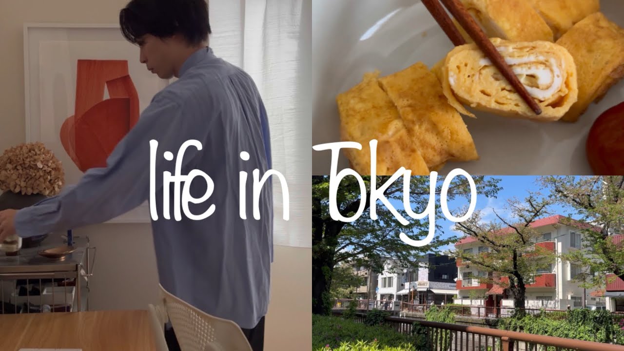 What Daily Life in Japan is Actually Like