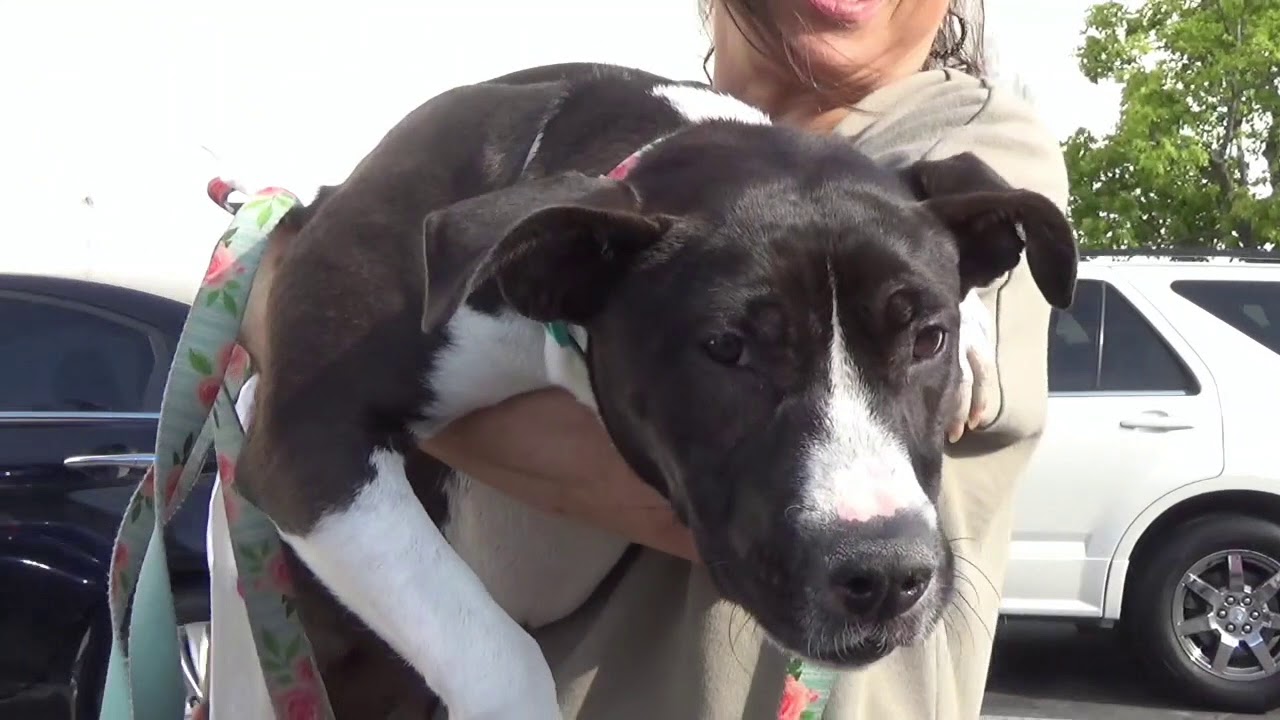 🏡 MATILDA'S FREEDOM VIDEO! 🏡