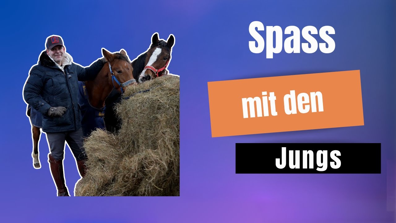 Ich bespasse meine Jungs, wir gewöhnen sie aneinander