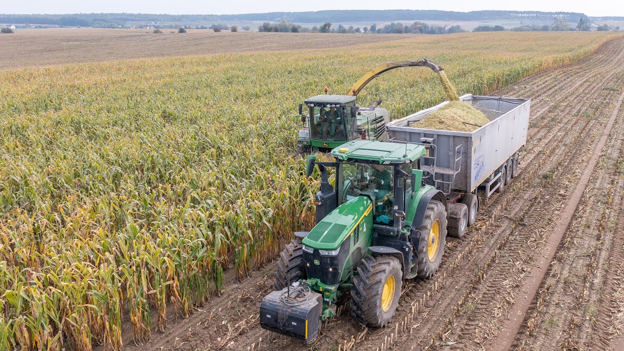 Zbiory kukurydzy na kiszonkę w CGFP Wojnowo #bylemnapolu  #johndeere