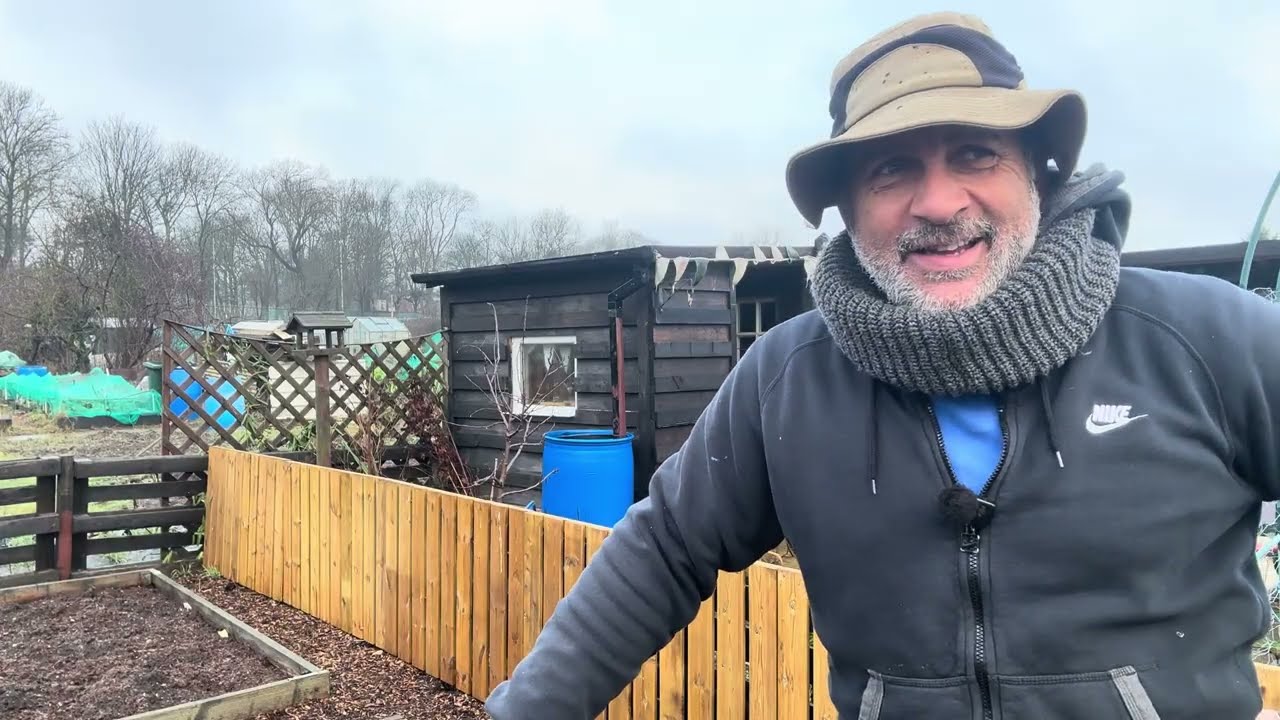 № 262 - На участке ведутся масштабные работы по обустройству траншей для бобовых культур, работы ...
