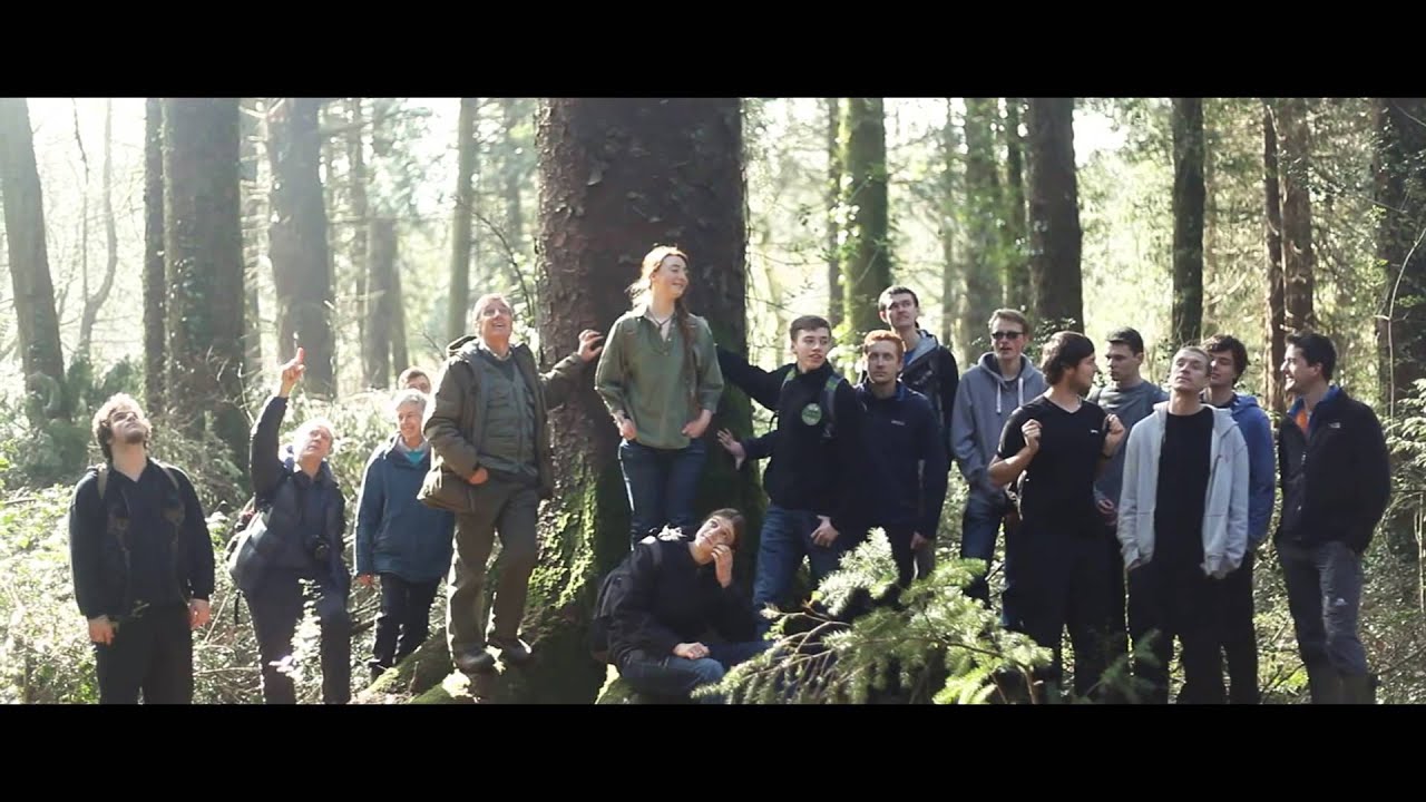 Forestry at Bangor University