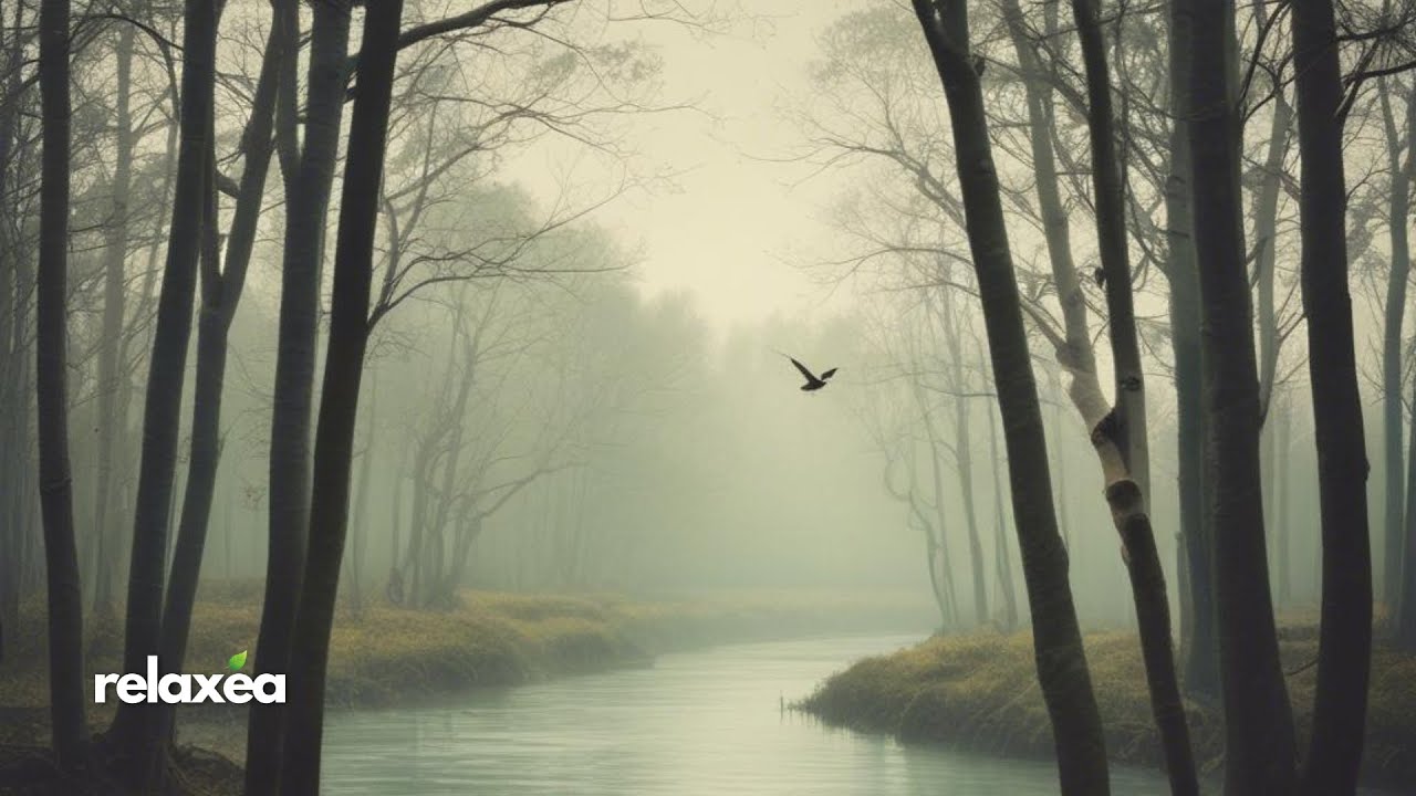 Forest Breath