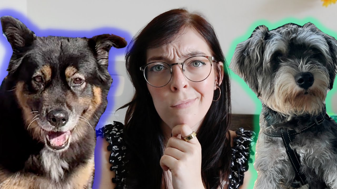 are dog dna kits worth it?