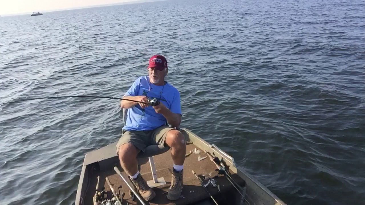 Schooling Action on Lake Murray