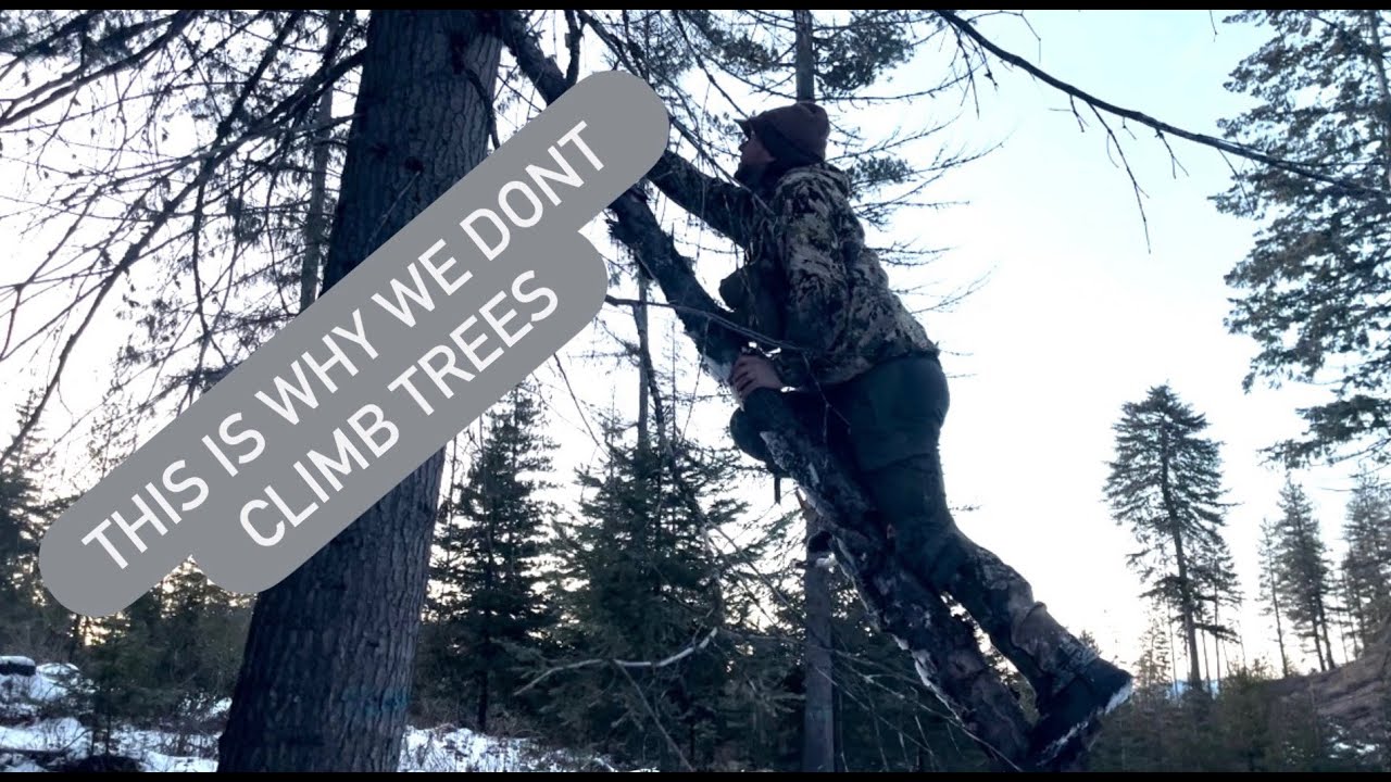This Is Why We Don't Climb Trees... Trail Cam Fail