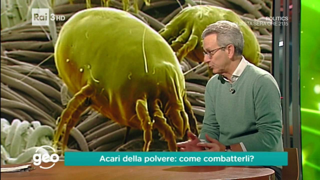 Acari della polvere, come combatterli?