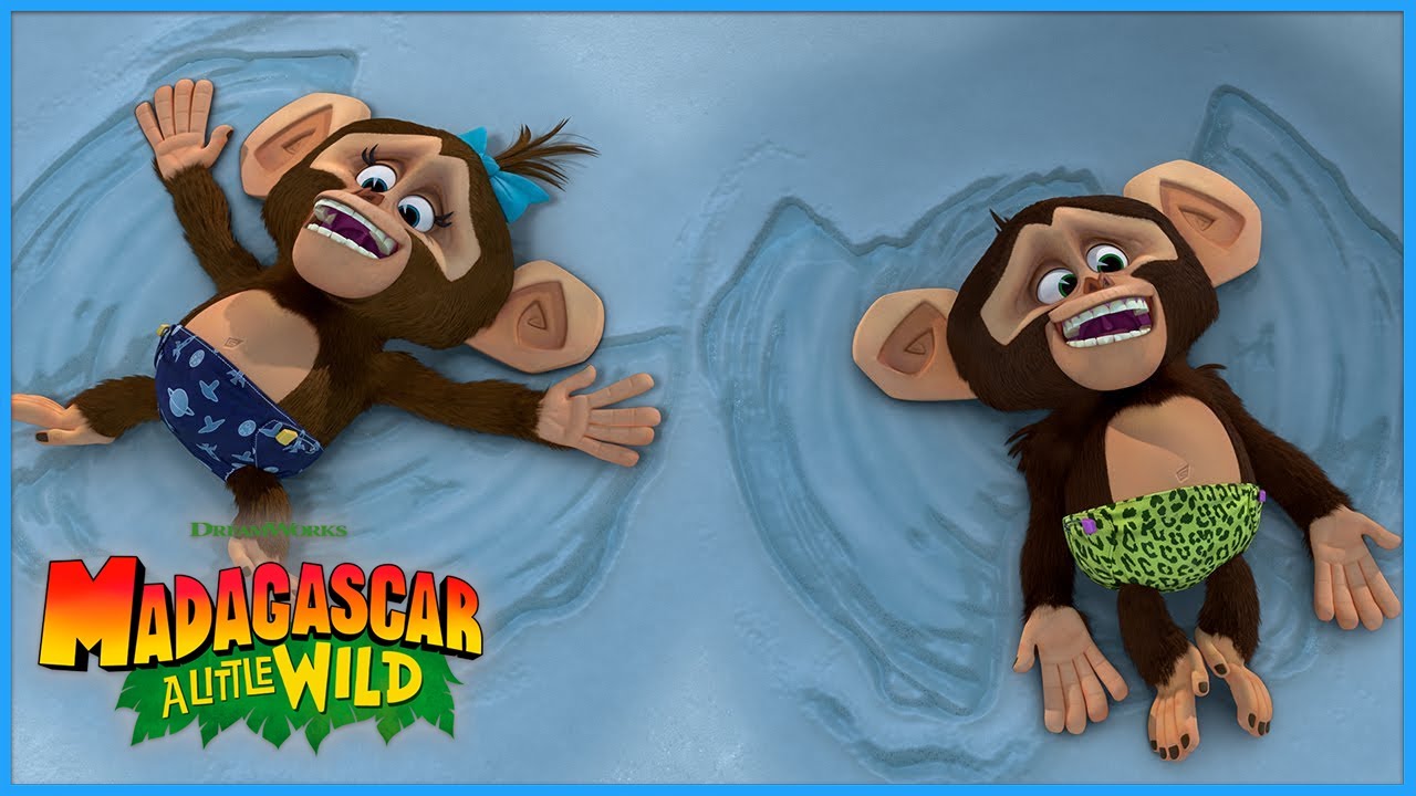 Snow at the Zoo! ❄️ | Madagascar: A Little Wild | DreamWorks Madagascar