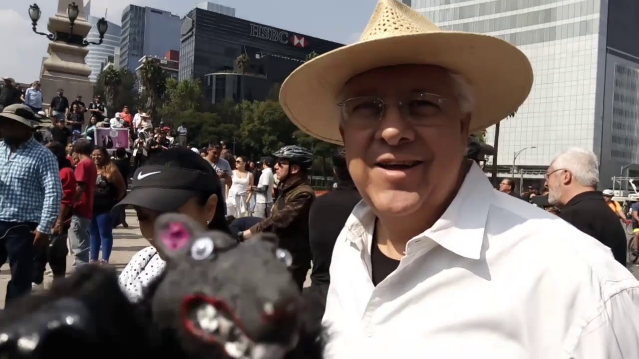 ME COLE EN LA MARCHA FIFI Y ESTO PASO de EJERCITO PELUDITO y CERDONIO FIFI