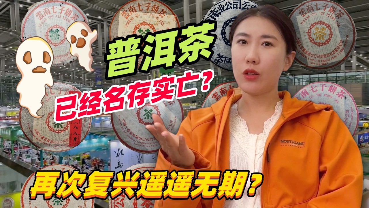 普洱茶已經名存實亡？再次復興遙遙無期？#普洱茶 #茶文化 #古树茶 #te #茶葉 #普洱茶wechat #茶 #茶叶 #茶生活 #喝茶 #品茶 #泡茶  #古樹茶