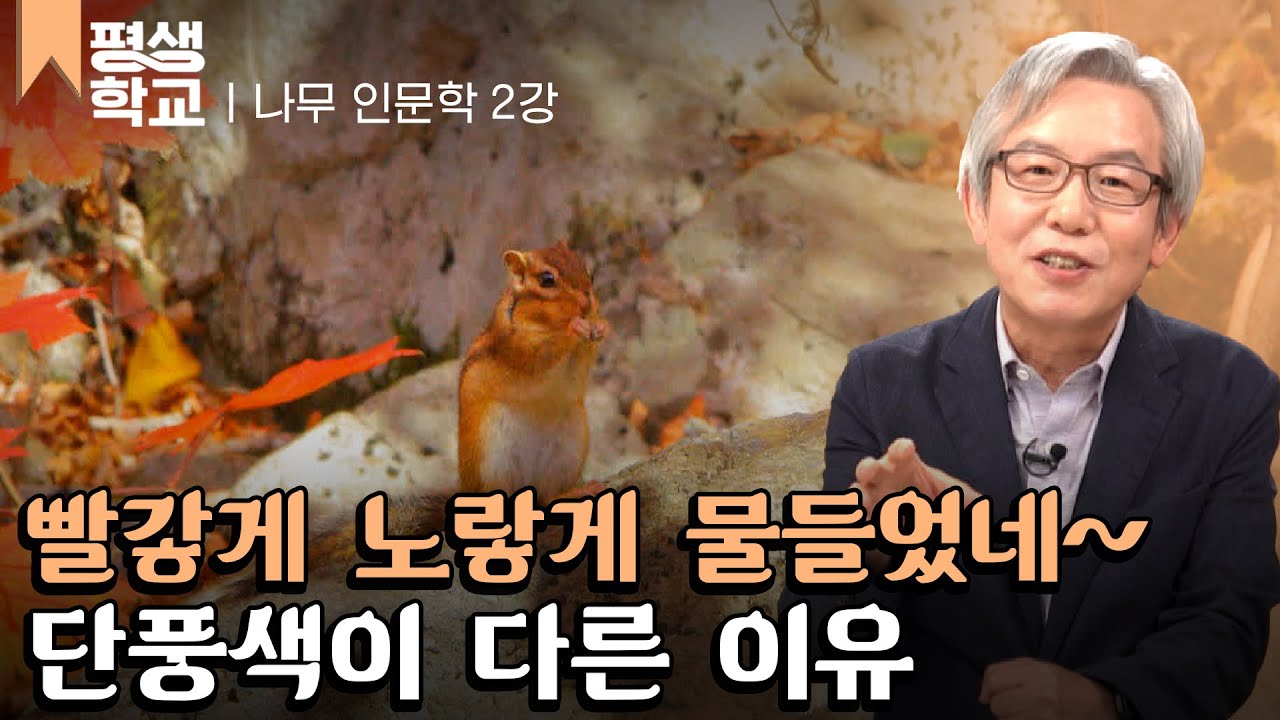 [#EBS평생학교] 2강 나무의 생존 전략, 단풍│고규홍의 나무에 담긴 생명의 원리