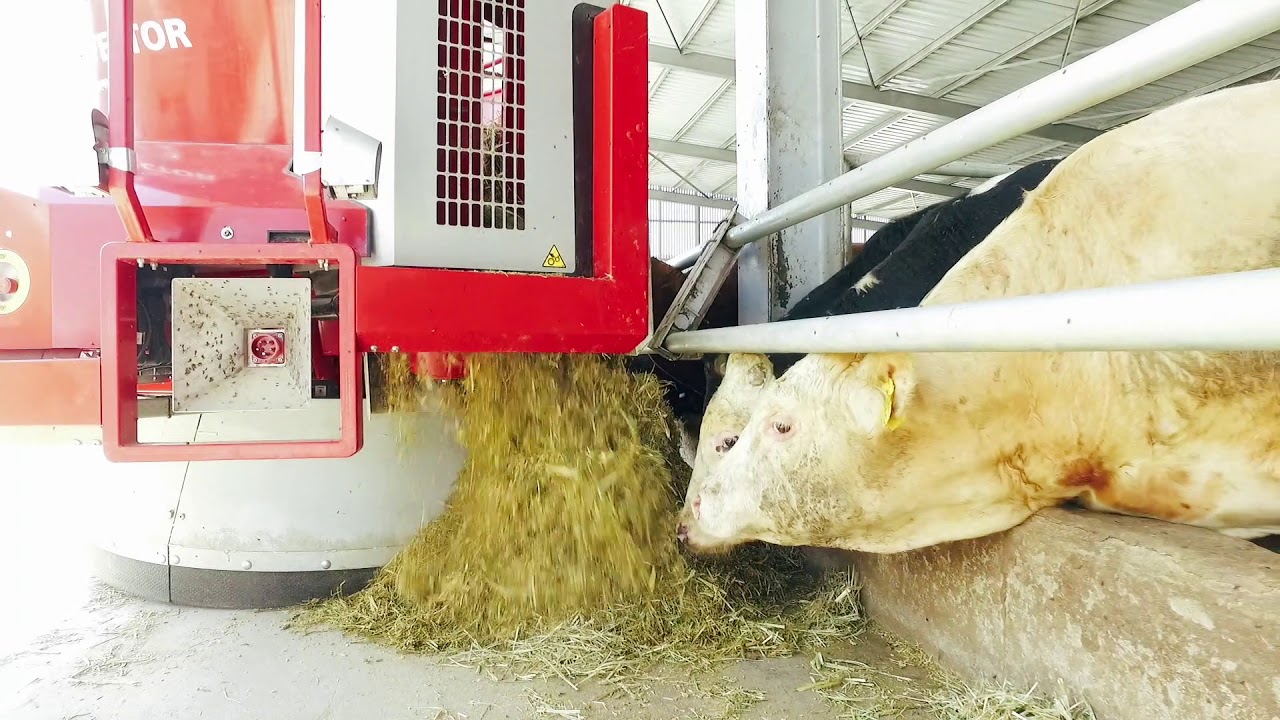 Lely Vector