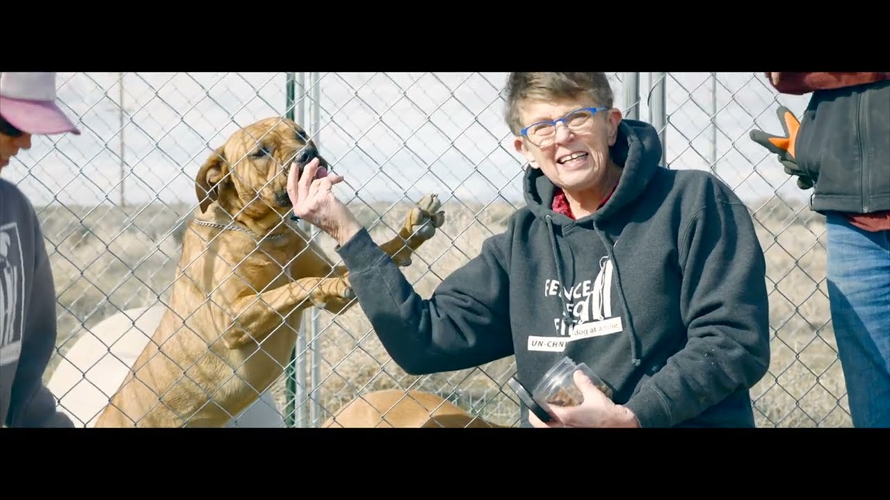 Fences For Fido Expanded Mission