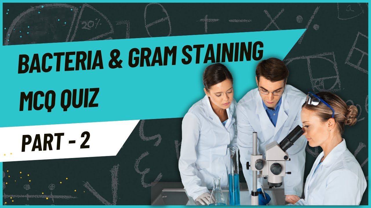 Bacteria and Gram Staining Part 2: Multiple Choice Quiz - Test Your Microbiology Knowledge