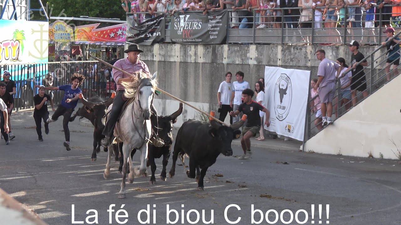 St-Mathieu-de-Tréviers ▶Bandido manade Alain◀ 06.07.2025.
