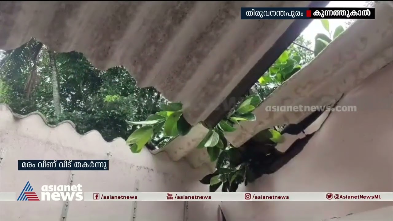 കുന്നത്തുകാലിൽ മരം വീണ് വീട് തകർന്നു |Thiruvananthapuram | Rain alert