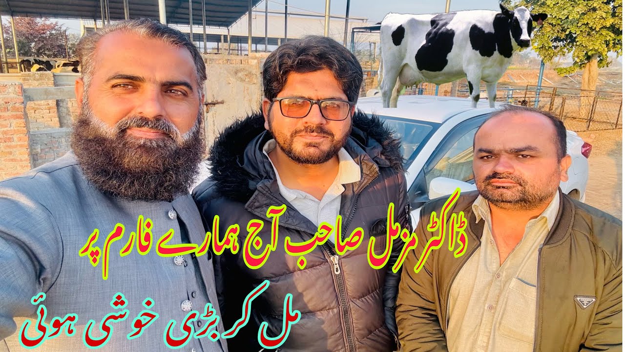 Alhamdulillah Aj Doctor Muzzammil Hassan Sab Hamaray Cow Farm Per Aay Bohat kushi Hoei Mil ker