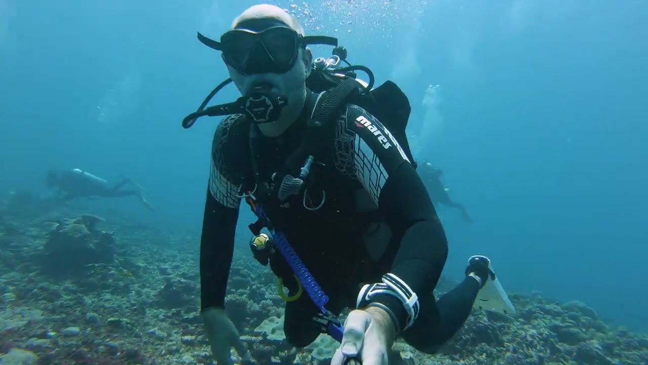 Lady Musgrave Island Outer Reef Scuba Diving