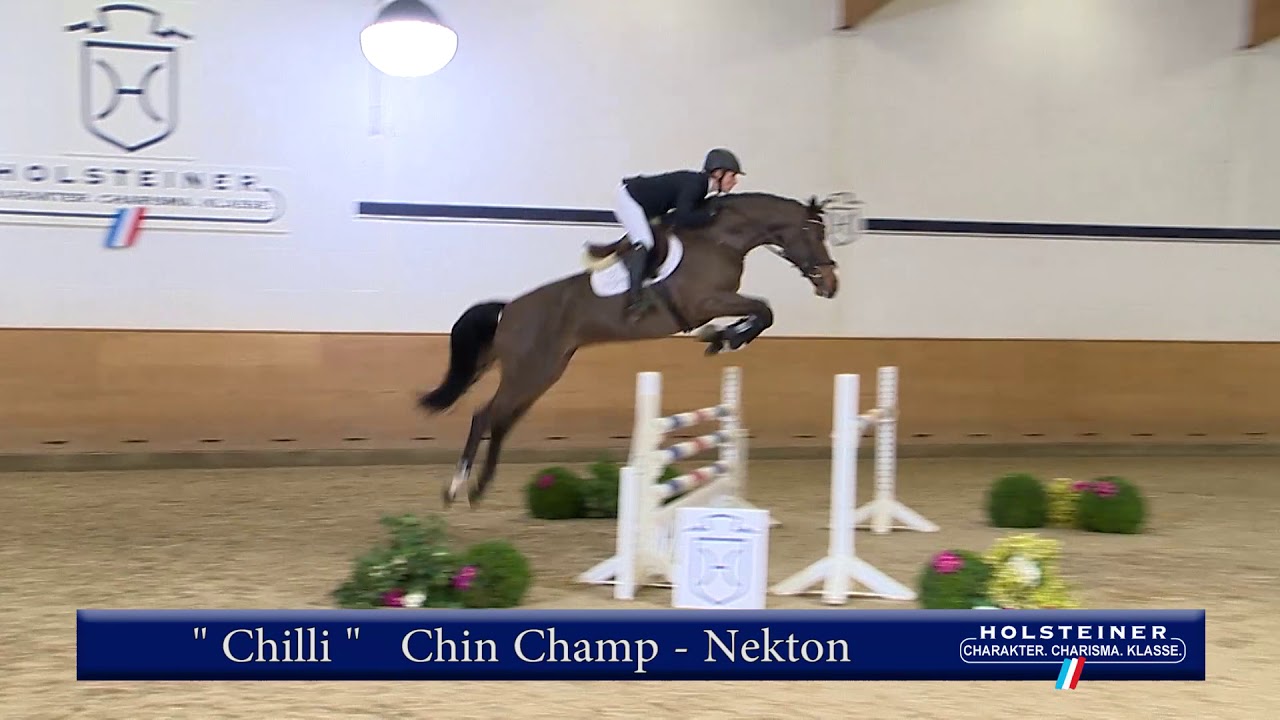 114 | Chilli v. Chin Champ - Nekton