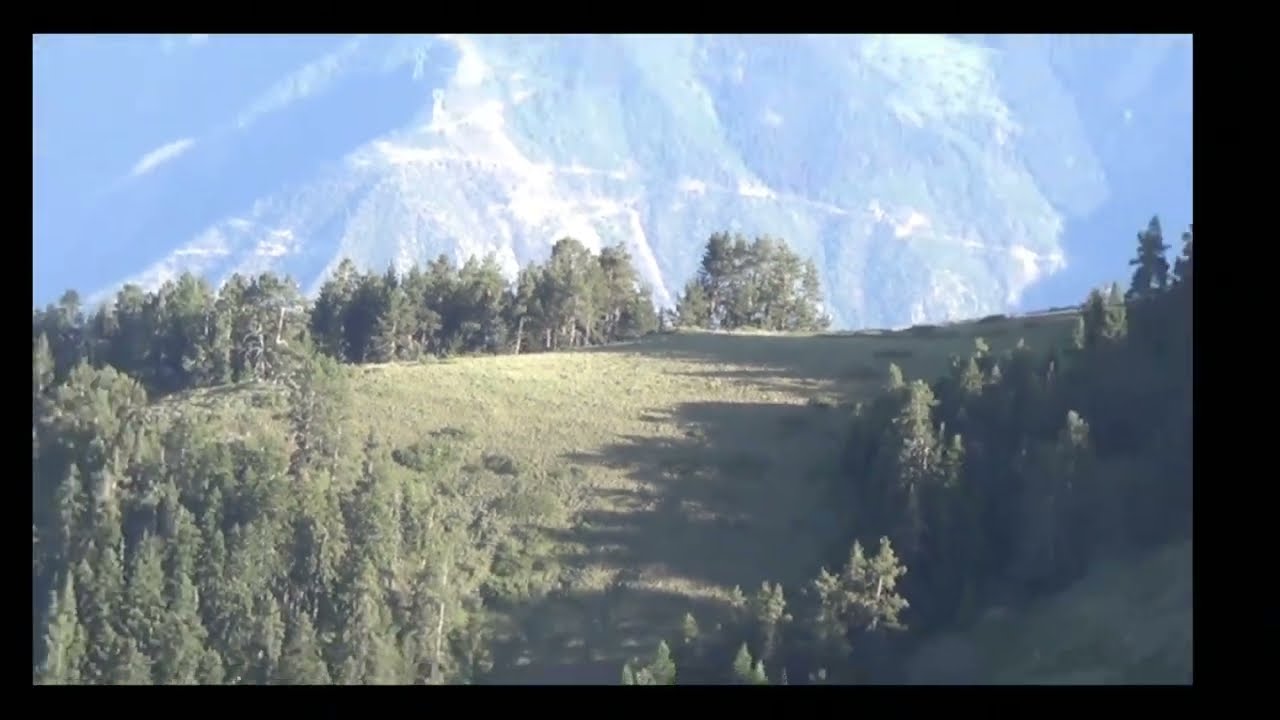 Zirveden doğa#dogavideosu#nature#naturelovers#wildlife#outdoor# mountain#peaceful#relaxing#hiking