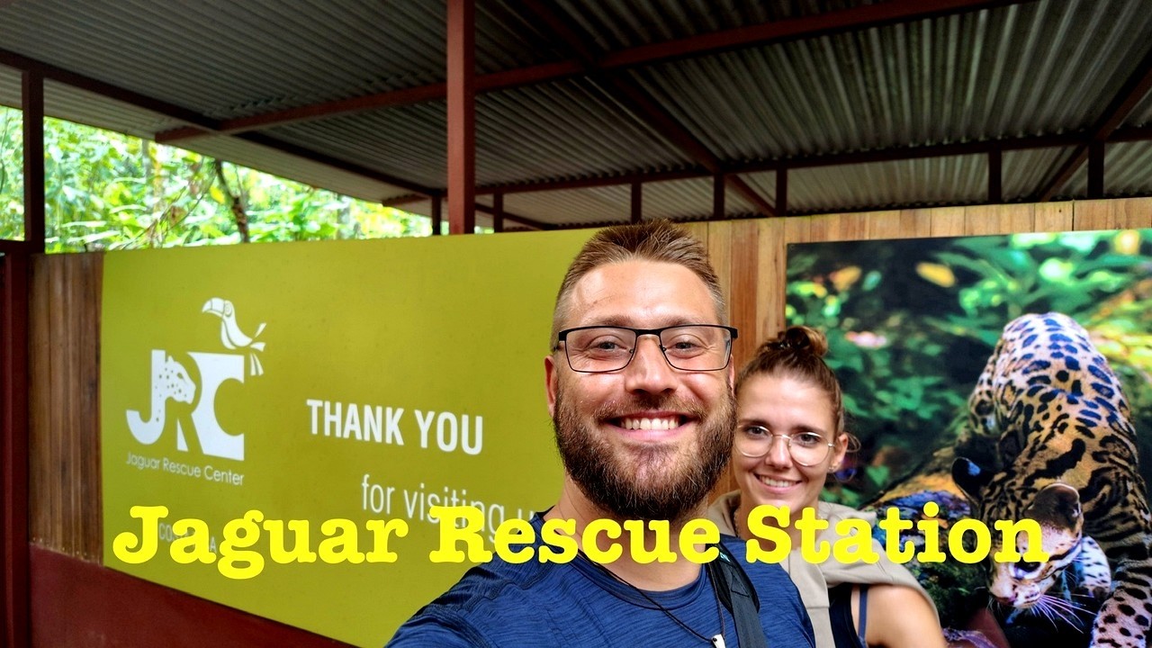 🐆 Jaguar Rescue Station – Tierbabys, Faultiere & echte Wildlife-Rettung | Costa Rica