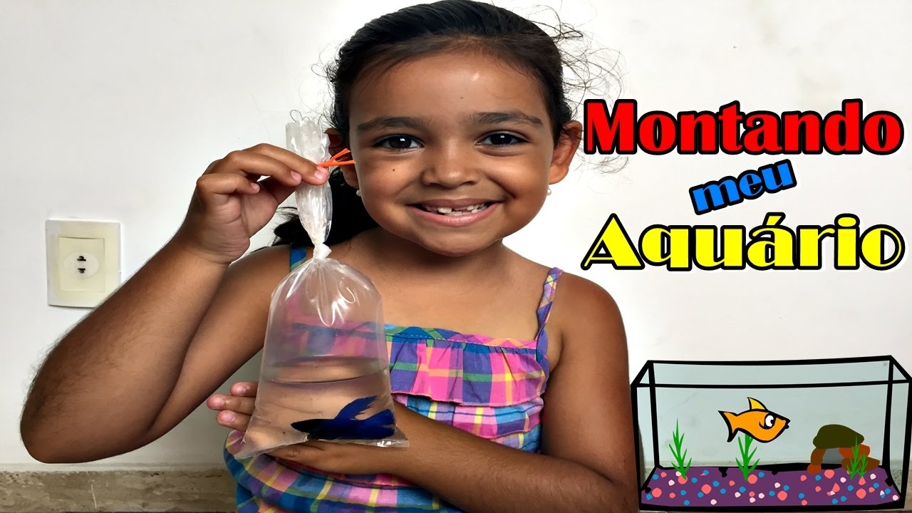 MONTANDO MEU AQUÁRIO SOZINHA