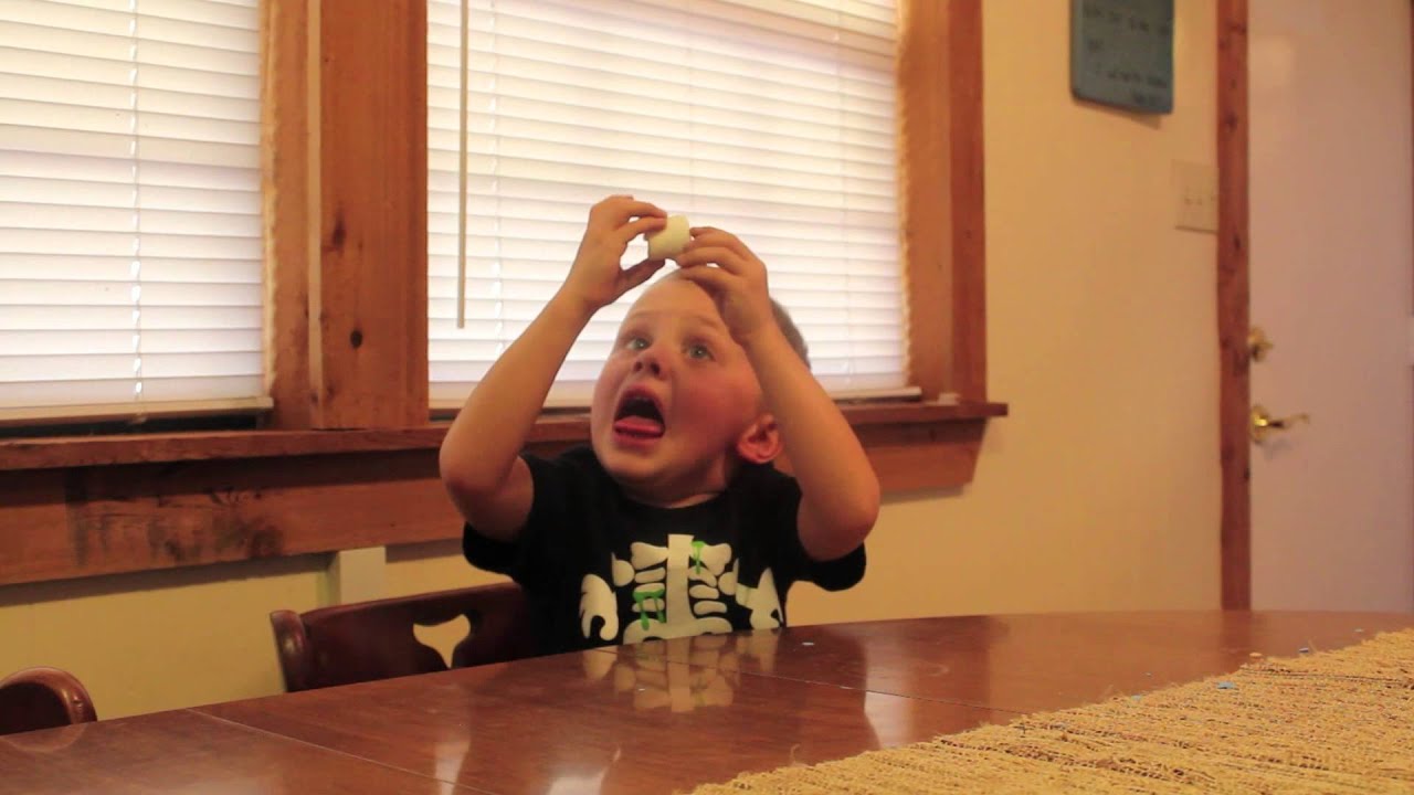 Marshmallow Test - Funny