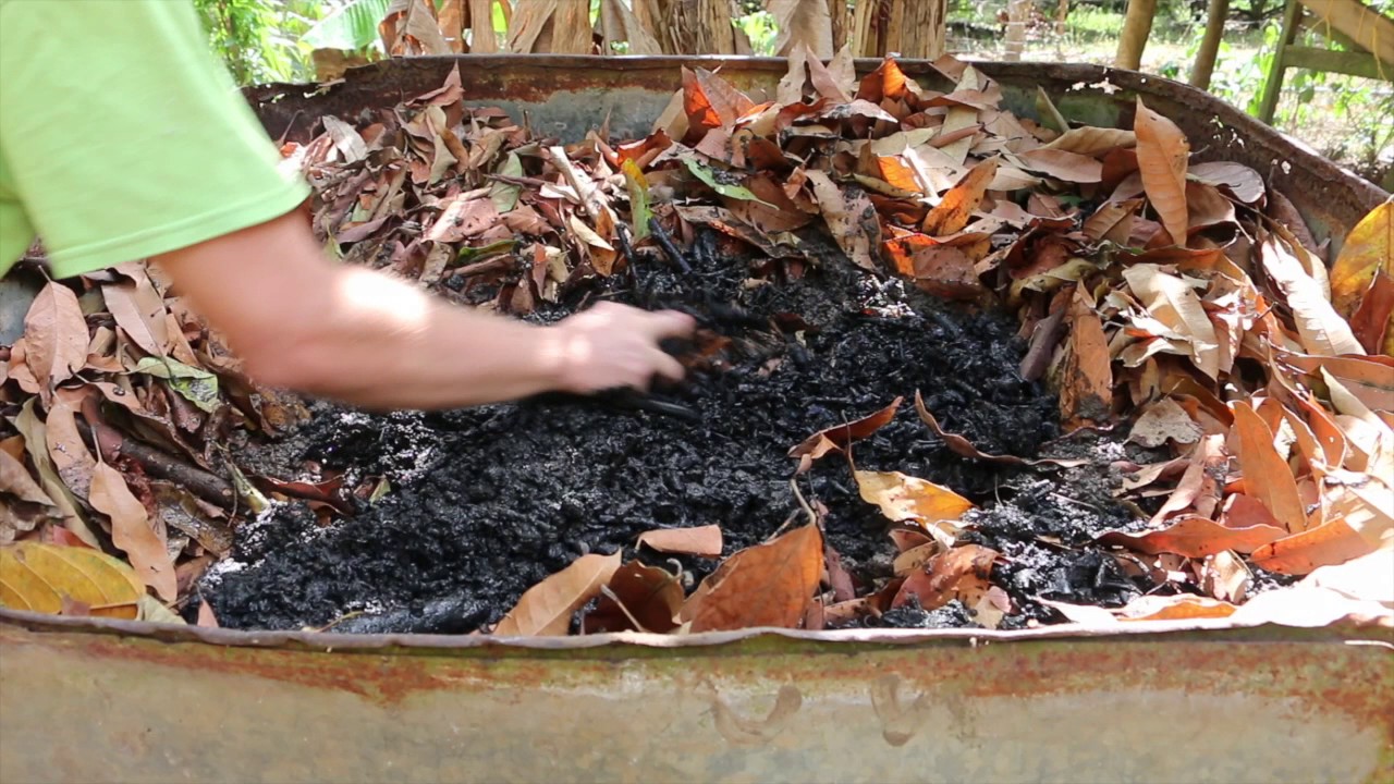 Why You Should Add Clay To Your Compost & Other Stories