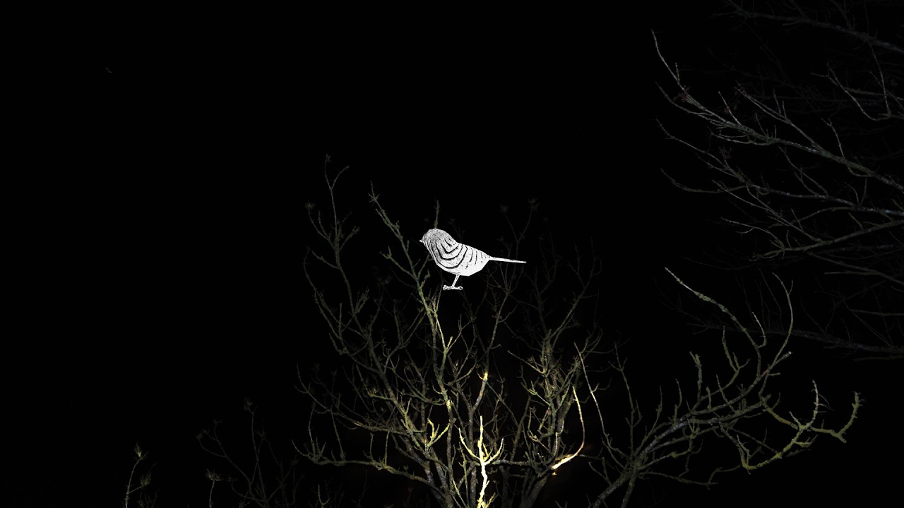 Songbirds (demo)