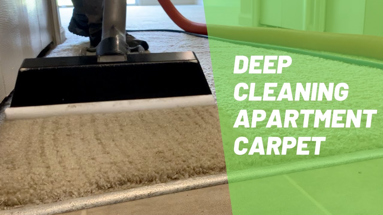 Cleaning Vlog #1 / Deep cleaning apartment carpet / Satisfying Carpet Cleaning