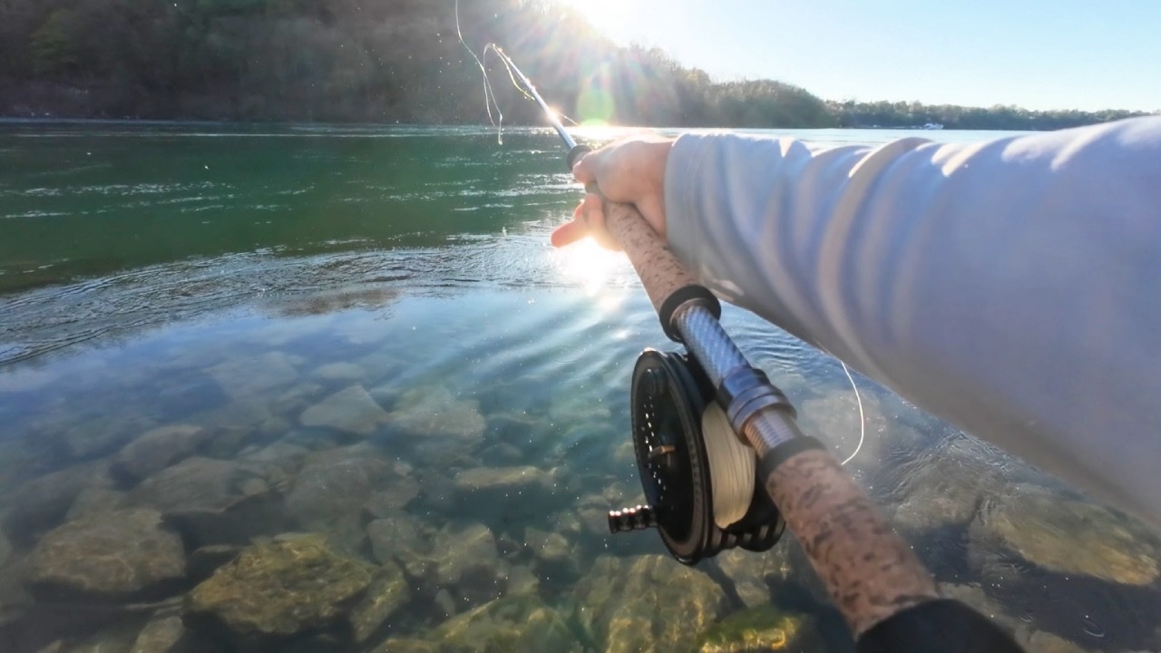NIAGARA River STEELHEAD on the SWING | Fly Fishing
