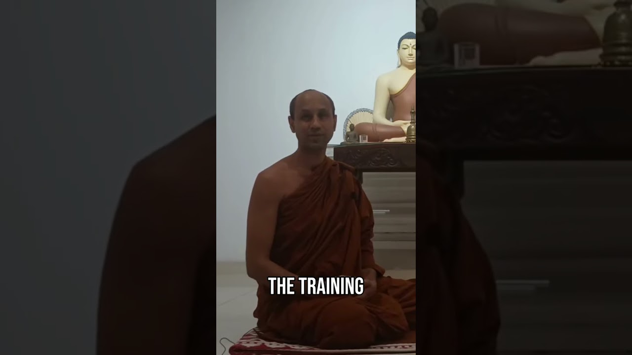 Предупреждение монаха: западные практики и духовная сухость #короткие