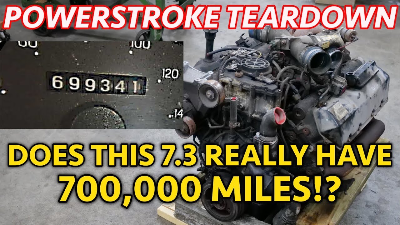 700,000 Mile 7.3 Powerstroke Teardown! Does This REALLY Have This Many Miles?