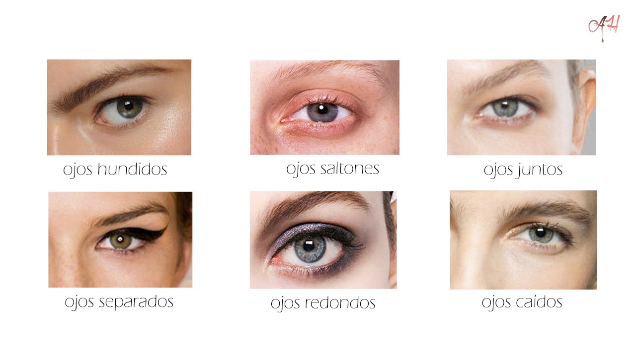 TIPOS DE OJOS // ¿Cómo maquillarlos? \\