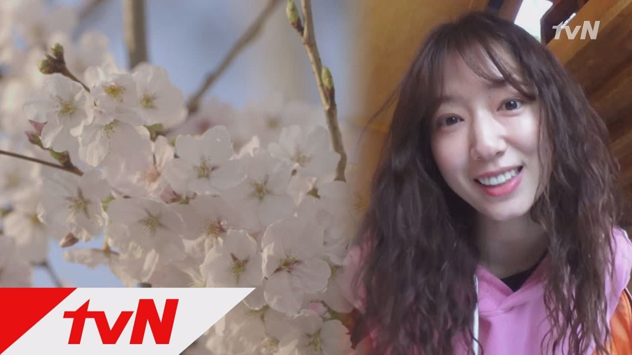 Little House in the Forest 벚꽃 만개한 제주의 봄, 박신혜 행복지수 상승?!^ㅡ^ 180420 EP.3