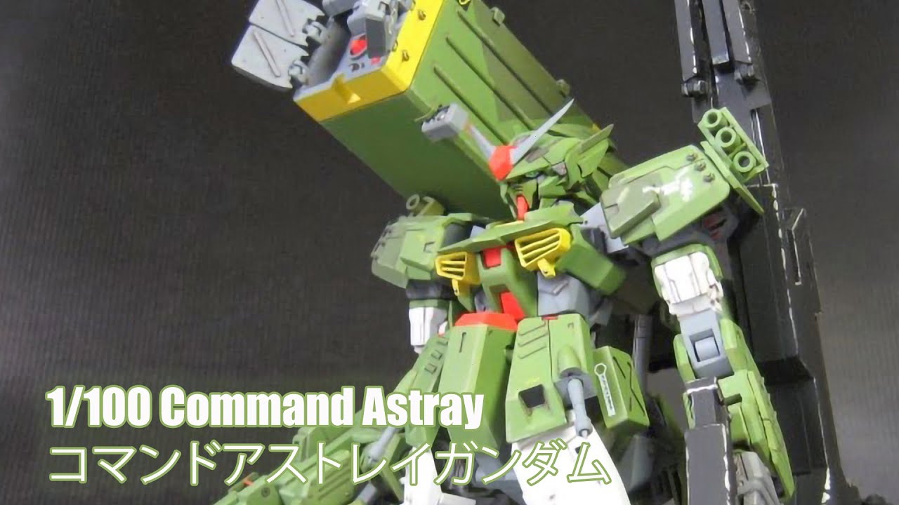 1/100 Command Astray - Custom Build(コマンドアストレイガンダム)