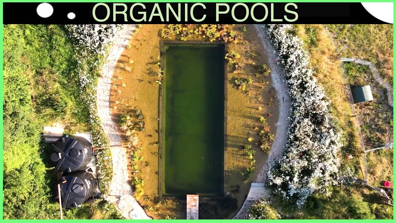 Stunning Off Grid Natural Pool - DIY - step by step