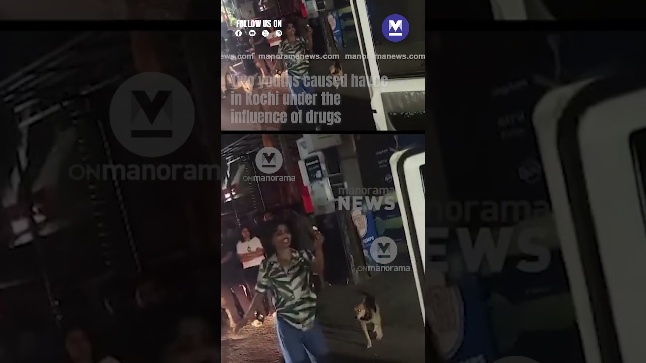 Two youths caused havoc in Kochi under the influence of drugs