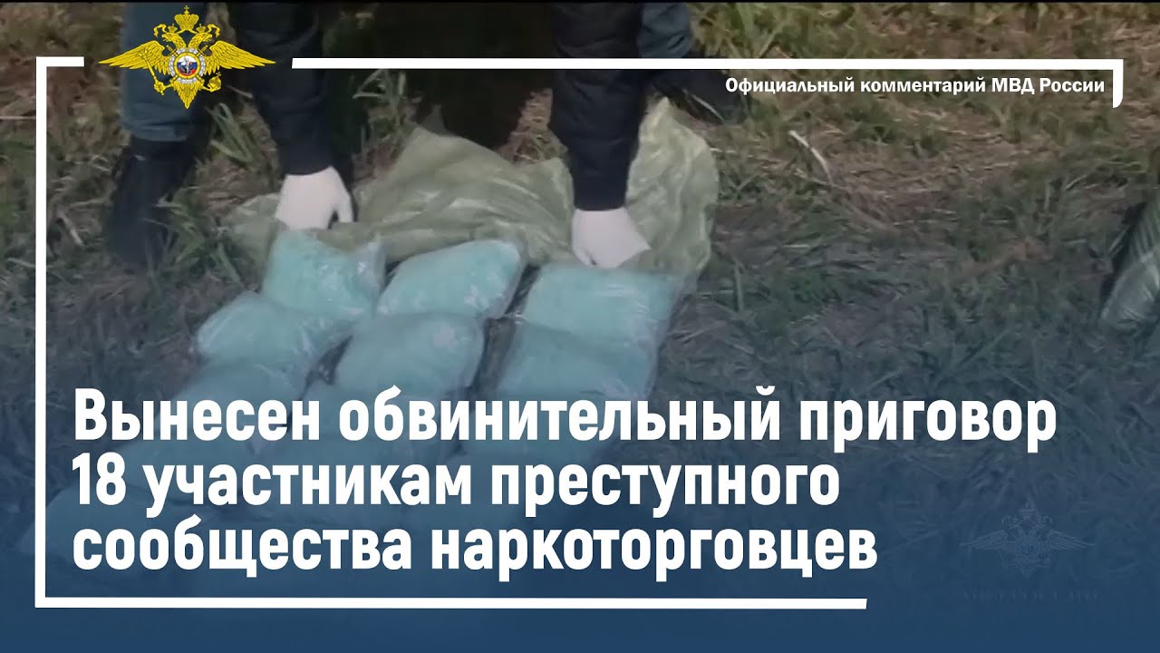 Ирина Волк: В Казани вынесен обвинительный приговор 18 участникам преступного сообщества