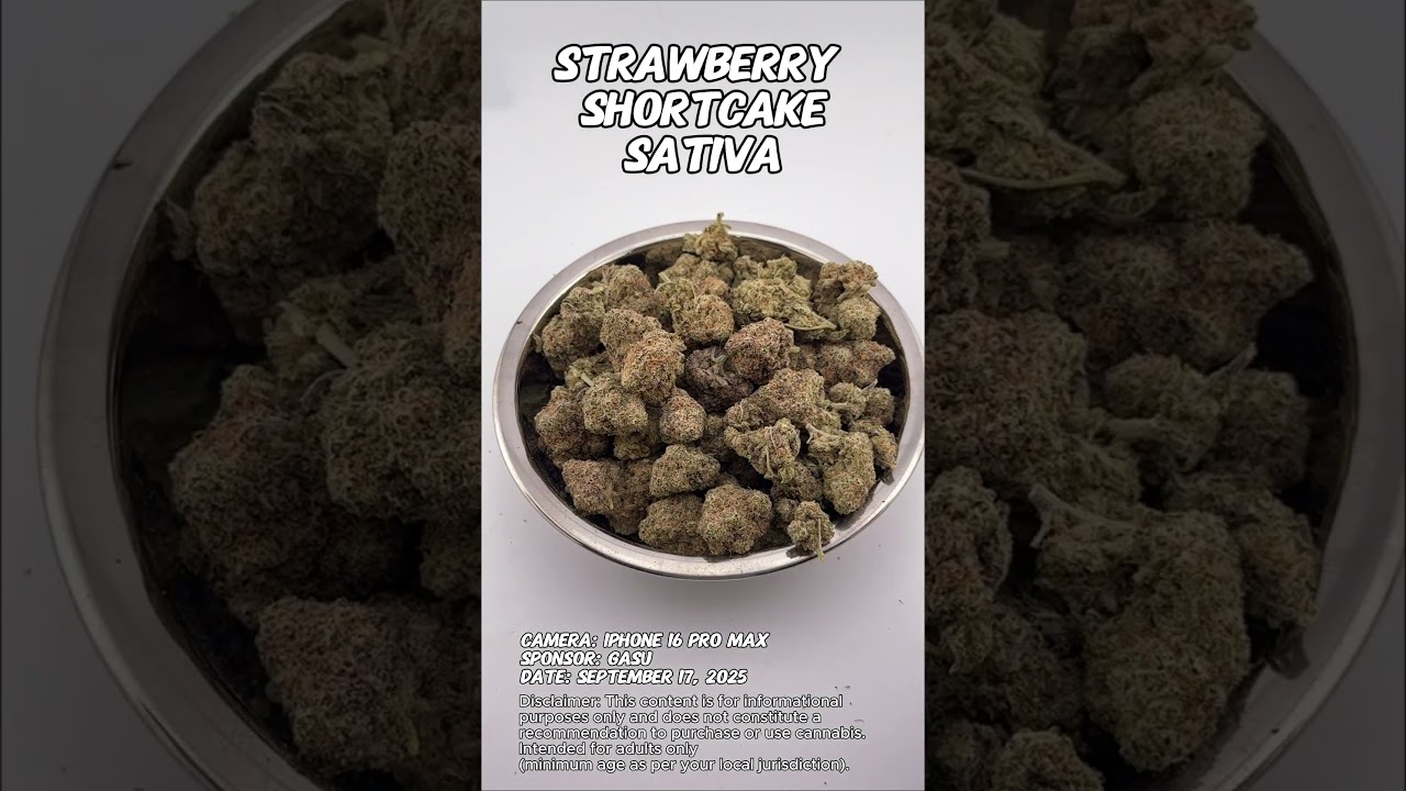 Strawberry Shortcake | Gasu Sponsored | Strain Spotlight