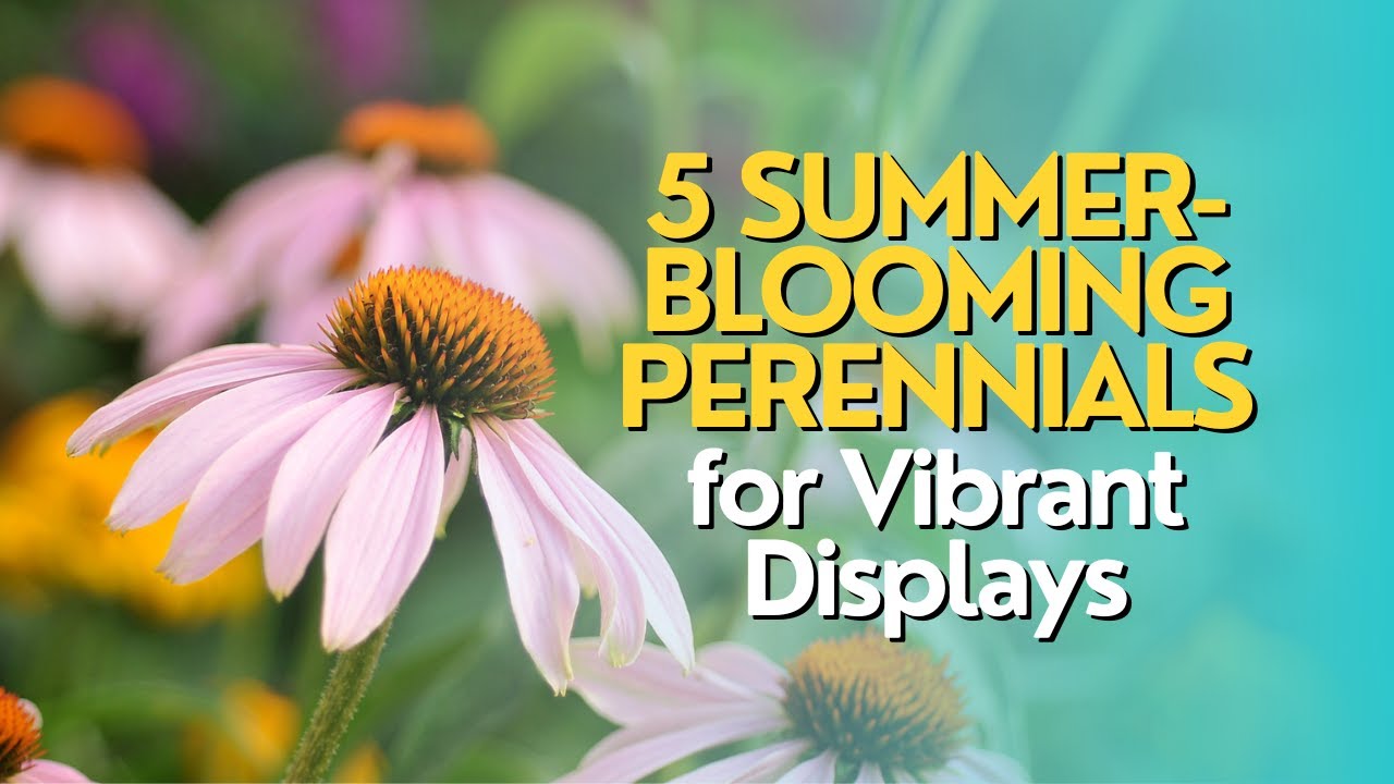 5 Perennials That Bloom ALL Summer Long (Plant Once, Enjoy Forever!)