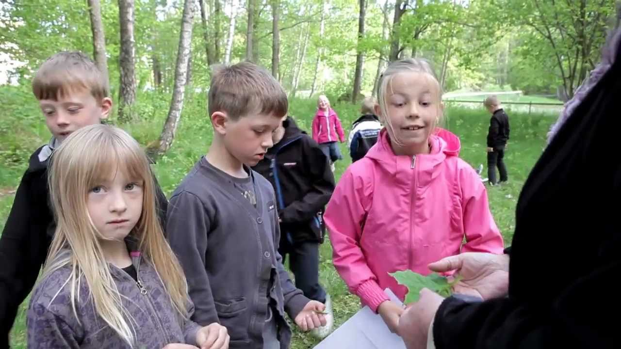 Krungårdsskolan - Presenteras av Videobrigade