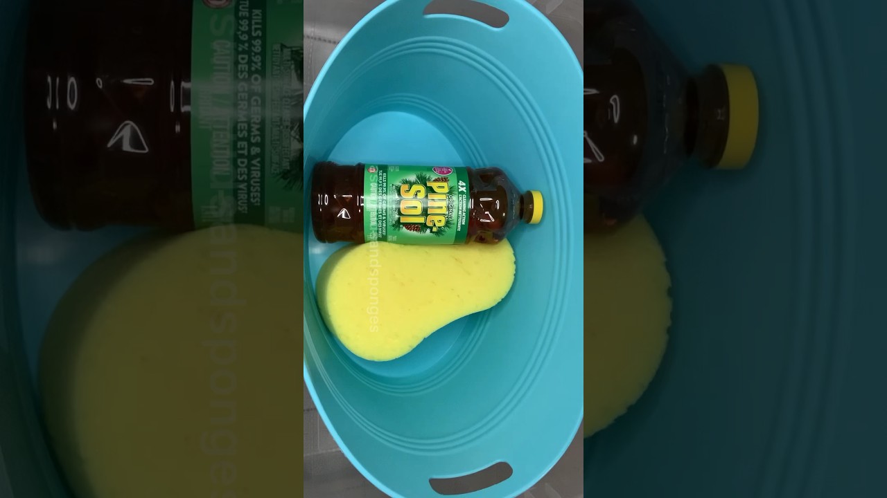 Pine-Sol🌲Squeezes & #sudspour