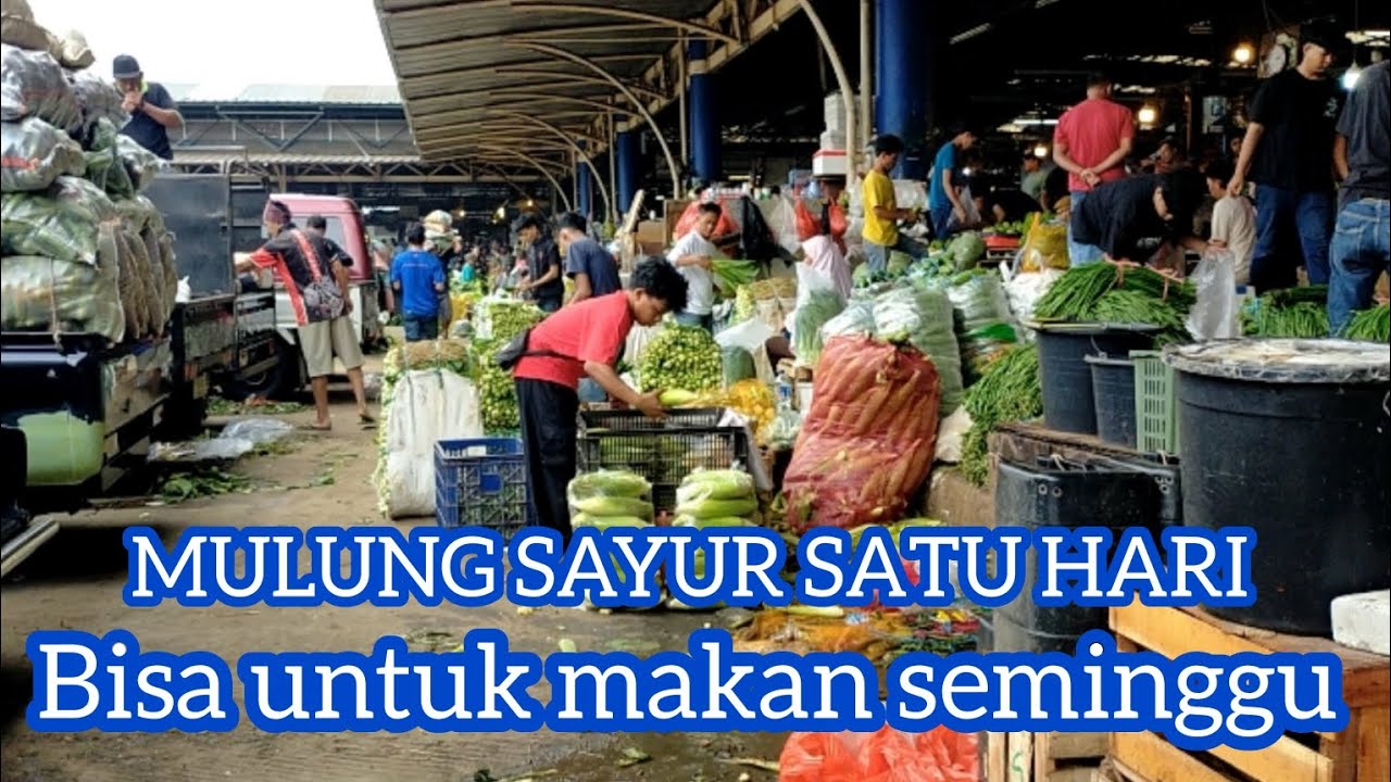 MULUNG SAYUR SATU HARI BISA UNTUK MAKAN SEMINGGU 🙈😭🥬🧄
