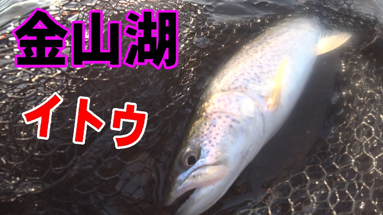 2024.4.16　【イトウを追う企画2024　DAY2】南富良野町　金山湖　キーワードはブレイクライン