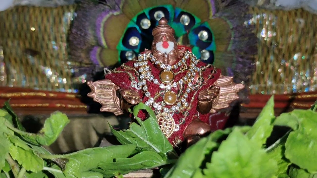स्वस्ति नस्तार्क्ष्यो अरिष्टनेमिः on 26.9.22 अमावास्या